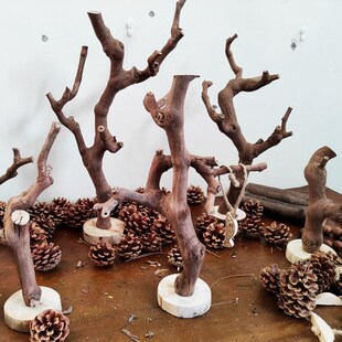 干树枝摆件装饰天然树干枯木造景树杈支架展示架文玩挂架子造型放