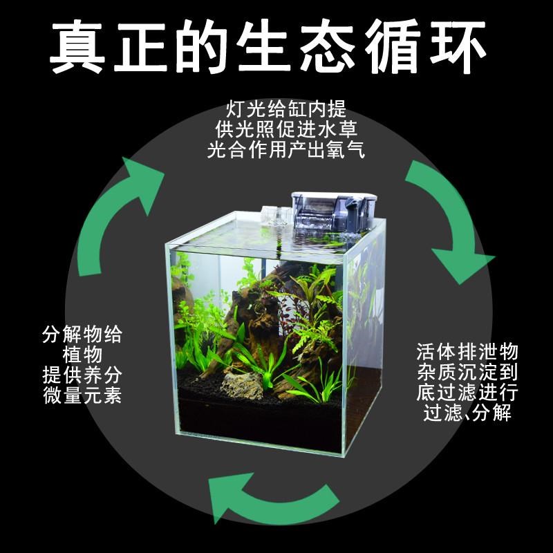 底砂过滤造景套餐真水草水族箱鱼缸小型桌L面松皮石沉木装饰生态