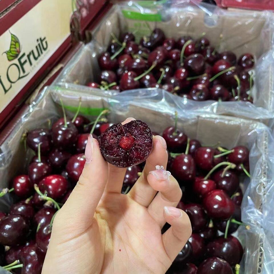 推荐新鲜大樱桃车厘子fresh cherry  fruit cherries