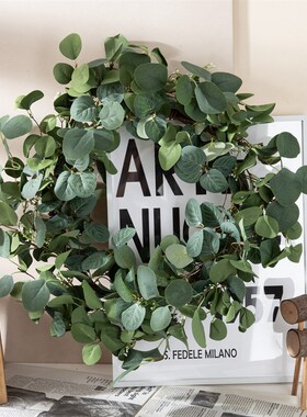 假花苹果叶尤加利叶环花环INSy风仿真花家居装饰跨境MW61666