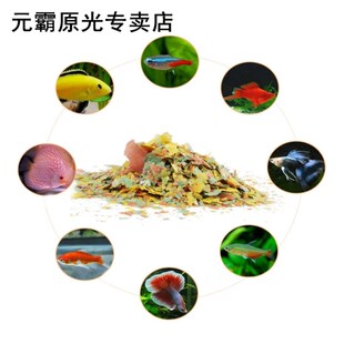 Fish Flakes 适用于 Tropical Fish Marine Ornamental Aquarium