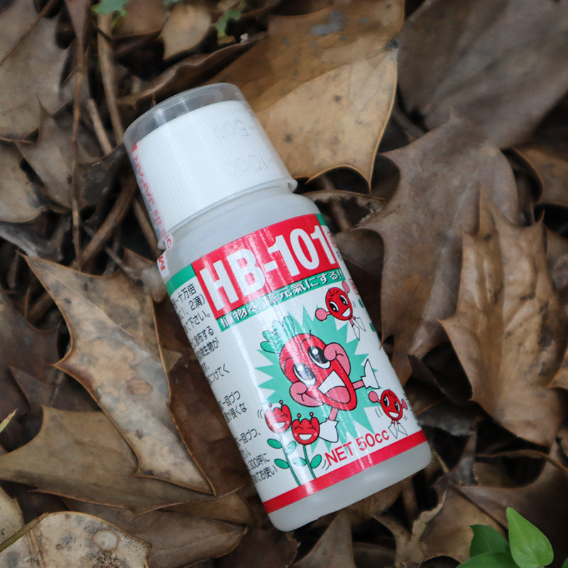 日本hb101活j力素月季花多肉植物活力素浓缩营养液养花通用生长素