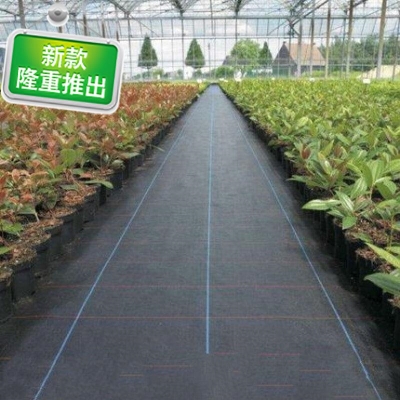小众高货防e草布除草布地布园艺地布抑草布果果园防草布膜黑色地