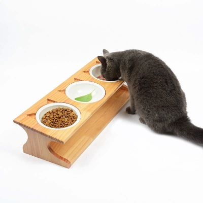 ,可刻字餐桌用品斜面陶瓷碗猫饭碗食盆猫碗三碗连狗碗宠物猫咪款