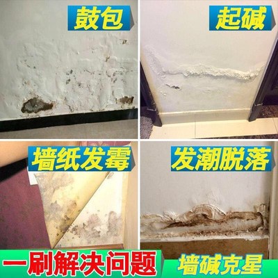 内墙防水防碱防潮修复墙s面起泡脱墙贴内墙墙壁发潮脱落生毛发霉