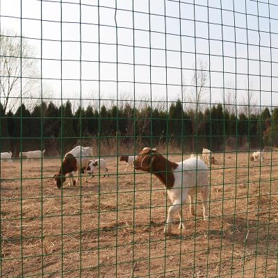 菜园围栏庭院家用养鸡网家禽养殖网铁网围栏鸡鸭鹅围养网子拦网