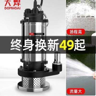 潜水泵家用220V抽水泵小型高扬A程清水泵农用灌溉污水泵抽粪泥水