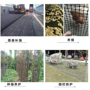 网养网格网塑料网防护网塑料隔离路基鸡f土工格栅围栏养殖网