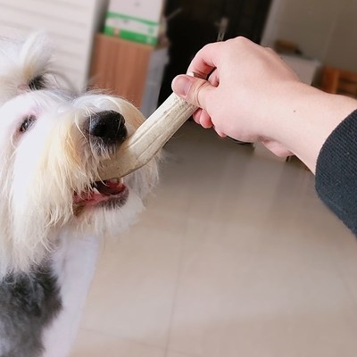 宠物狗狗鹿角磨牙耐咬补钙磨牙棒洁齿骨泰迪法斗幼犬鹿角