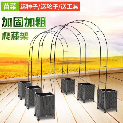 工厂销花架爬藤架室m内花门架丝瓜葡萄支架天台花园花架北欧风花