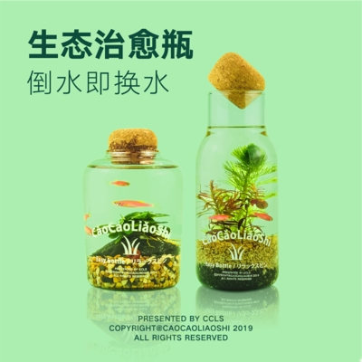 微景观鱼缸生态瓶小鱼办公室diy微缸鱼缸造景微治愈鱼缸免打理