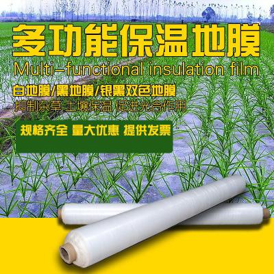 种地菜地地模塑料布农用地膜种菜薄膜地面塑料纸薄膜种菜用的