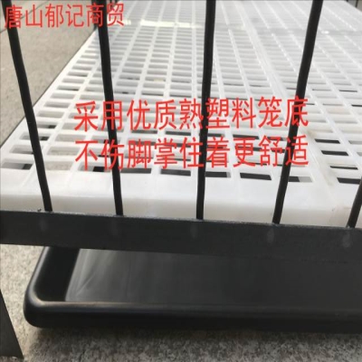 狗笼子小型犬角钢实心钢筋狗笼室内狗笼铁笼子宠物笼子加粗