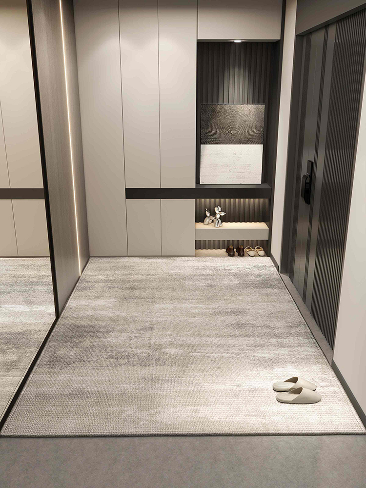 入户门口地毯高级感别墅进门地垫免洗耐脏入户门脚垫入门门垫新款