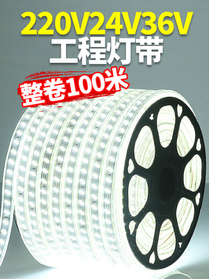LED灯带220v户外防水地下室隧道工地亮化装饰照明白光灯条24V36V