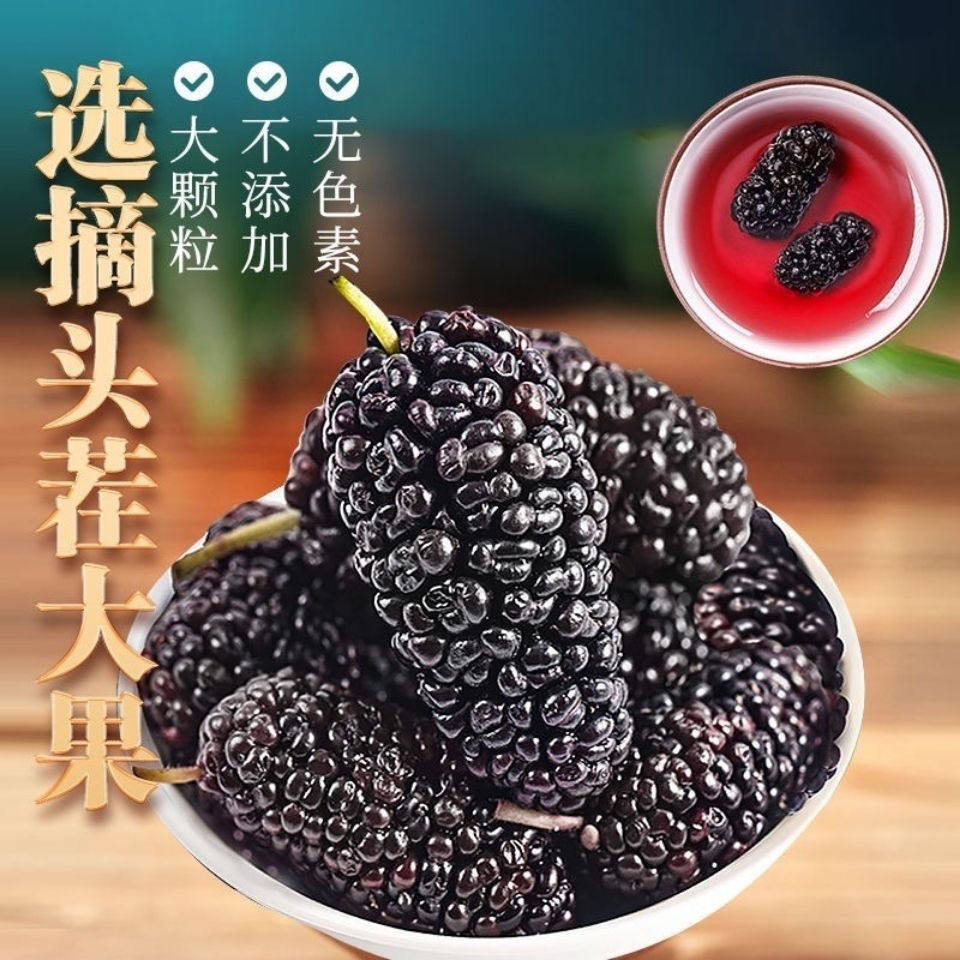 新疆包邮桑葚干500克干净无沙颗粒饱满黑桑椹干果新疆原产大颗粒