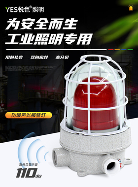 BBJ防爆型声光报警器220V24V12V防爆警示灯LED信号灯110dB 警报灯