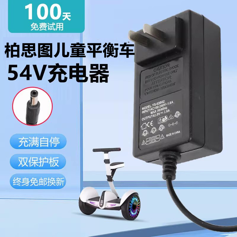 柏思图电动平衡车充电器54V通用55V电源快充幼儿儿童车DC圆头配件