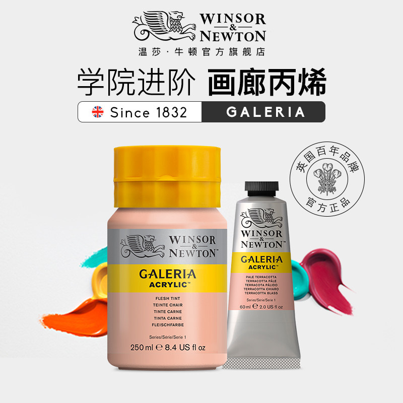 温莎牛顿画廊丙烯颜料手绘墙绘哑光丙烯60/250ML套装美术专用画DI