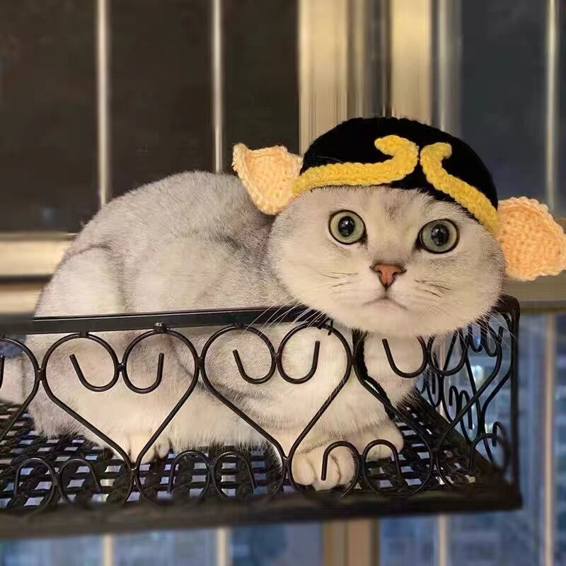 宠物帽子猫咪搞怪头套银渐层二师兄编织帽布偶猫猪八戒手工德文帽