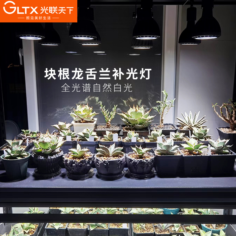 光联天下全光谱植物补光灯块根龙舌兰龟甲龙仙人球生长灯轨道射灯
