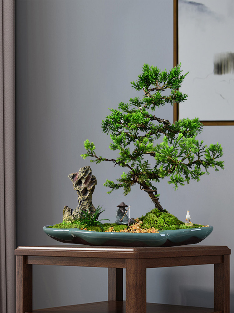 真松柏盆景悬崖式老桩造型盆栽客厅办公室内盘景植物好养四季常青