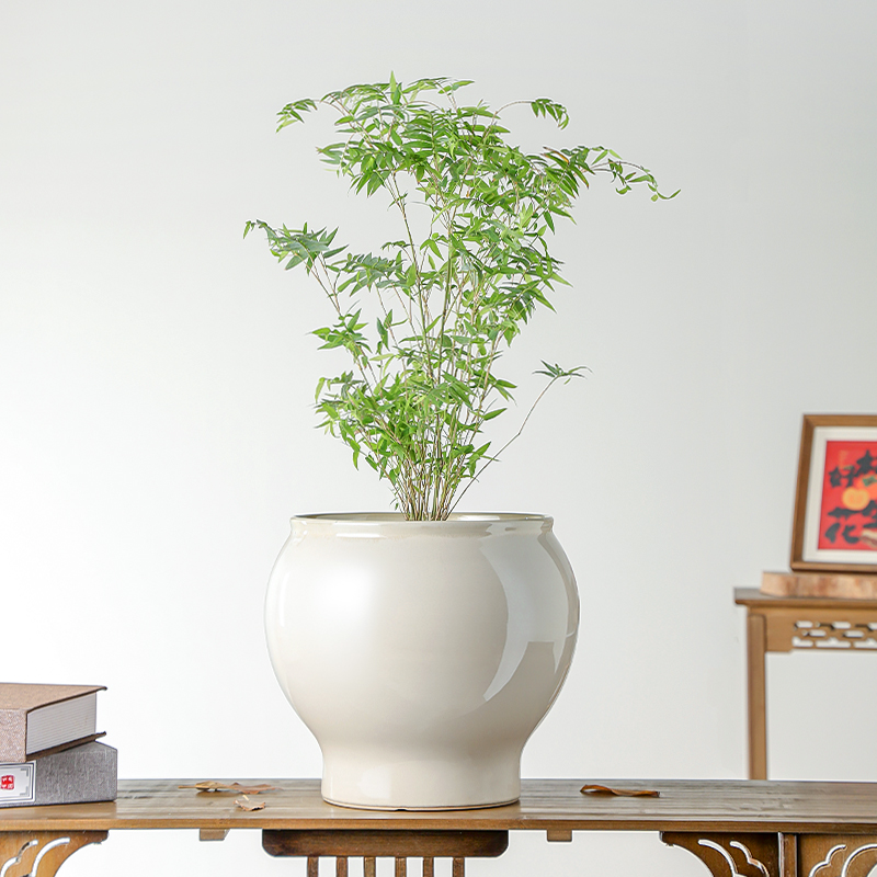 北欧风简约陶瓷花盆家用室内发财树兰花专用大号蝴蝶兰千年木冬青