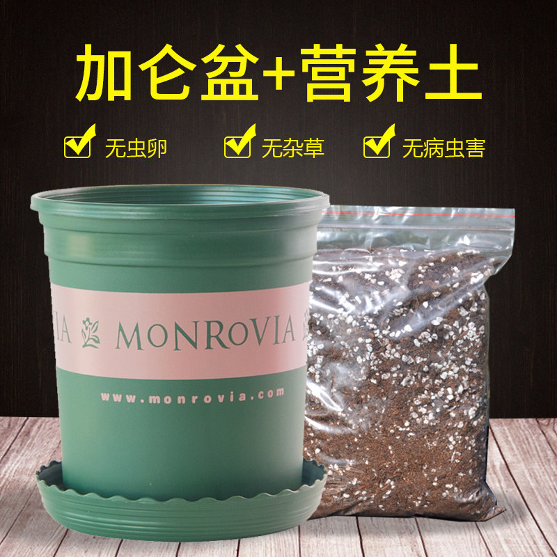 加仑盆加营养土带土泥土塑料花盆子家用种植盆栽多肉绿萝月季容器
