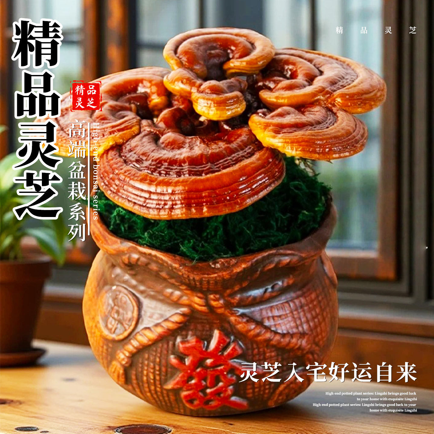 灵芝盆栽观赏灵芝摆件招财摆件灵芝盆景办公摆件懒人盆景创意摆件