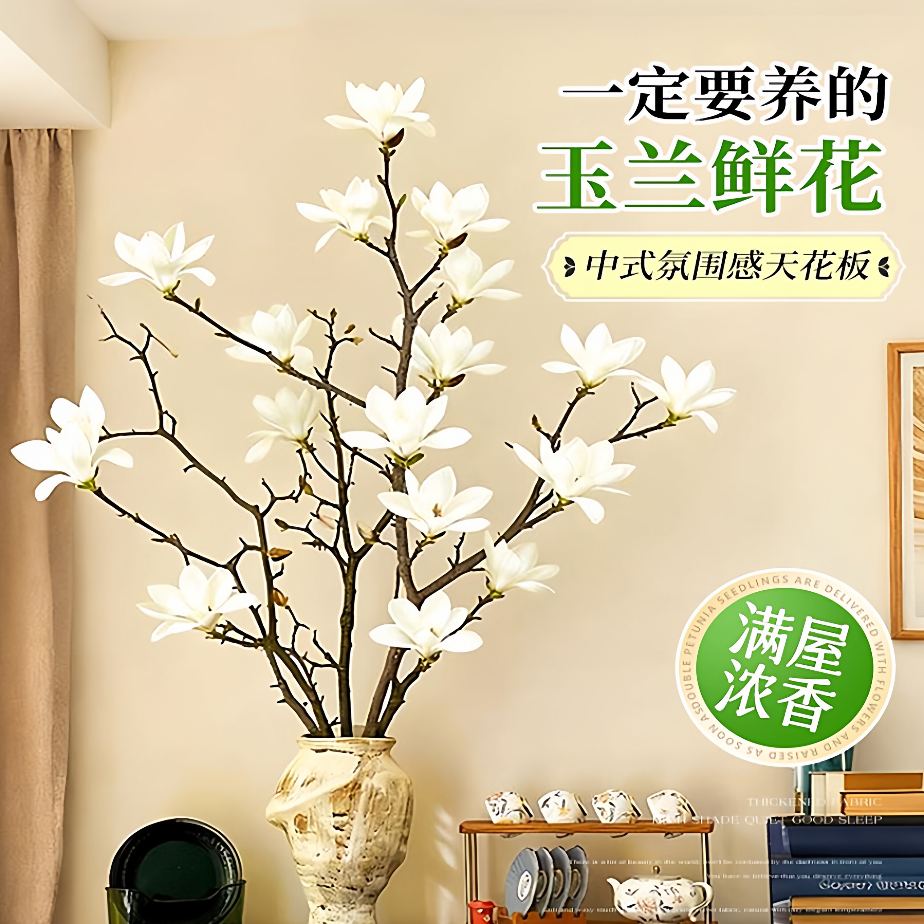 水培植物玉兰花鲜花云南基地直发室内好水养鲜切枝花束插花瓶花卉