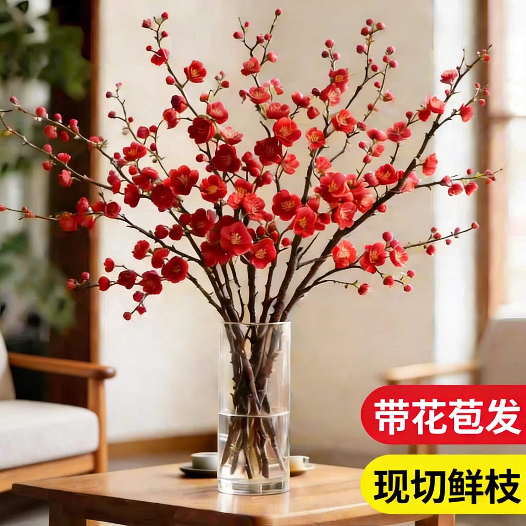 红梅鲜切水培植物雪柳鲜枝带花苞鲜花卉室内水养玉兰花腊梅年宵花