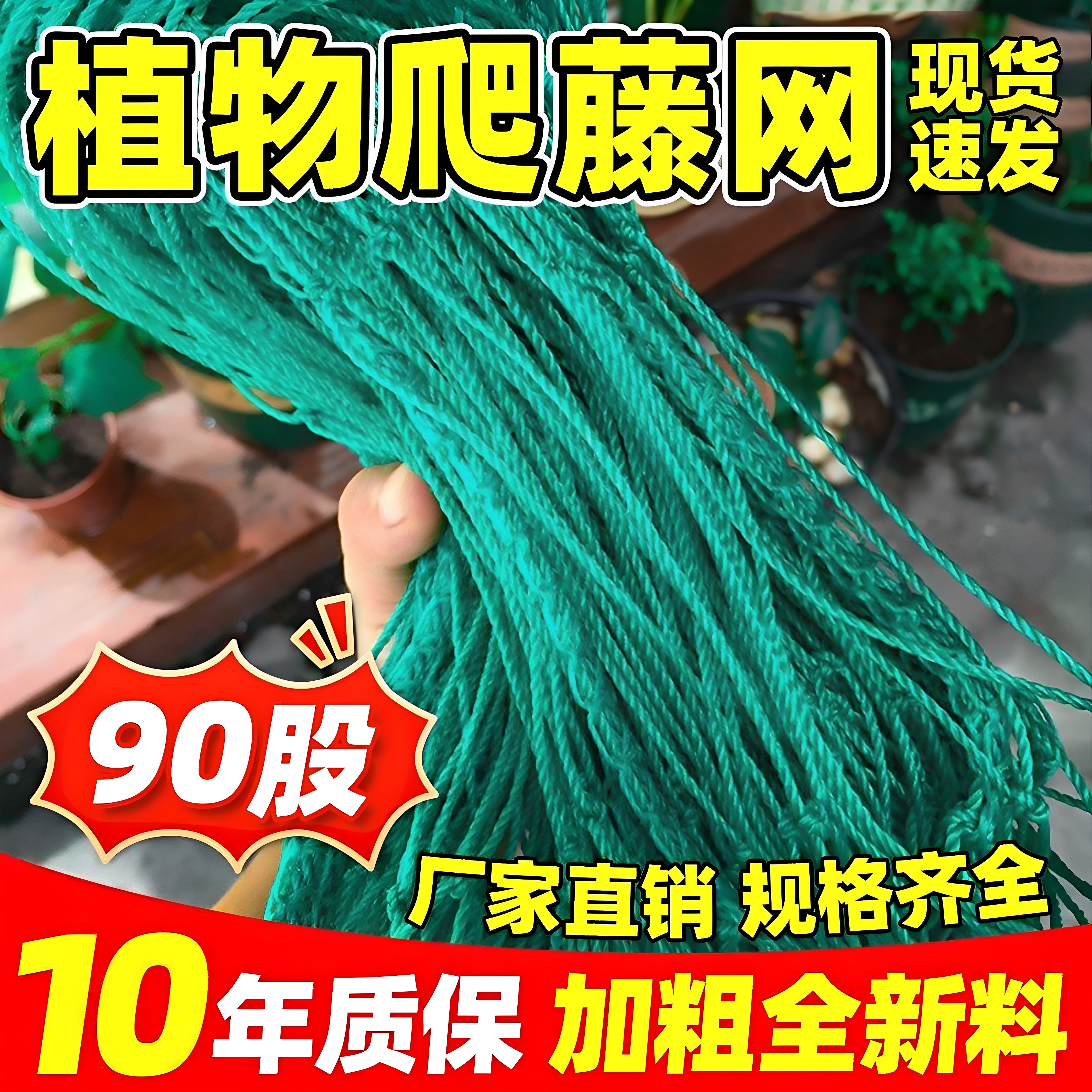 德国植物爬藤网黄瓜丝瓜爬藤网爬藤瓜蒌百香果攀爬网搭架网爬藤塔