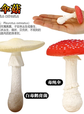 仿真蘑菇模型玩具摆件装饰红伞伞竹笋菌子蔬菜塑胶香菇儿童认知