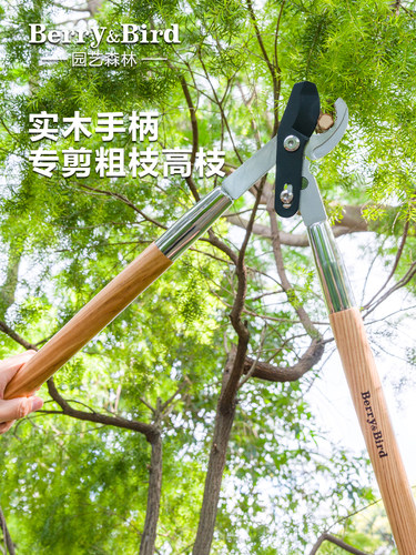 Berry&Bird园艺森林粗枝剪修枝剪果树大剪刀强力长柄省力专用工具