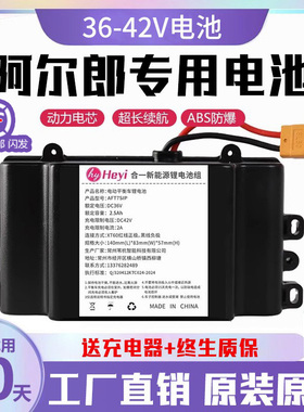 适用阿尔郎电动平衡车锂电池36v合一新能源42v大容量电瓶配件安派