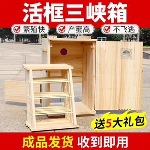 活框三峡蜂箱立式中蜂养蜂桶全套土养格子箱诱蜂竖养箱蜜蜂收蜂桶