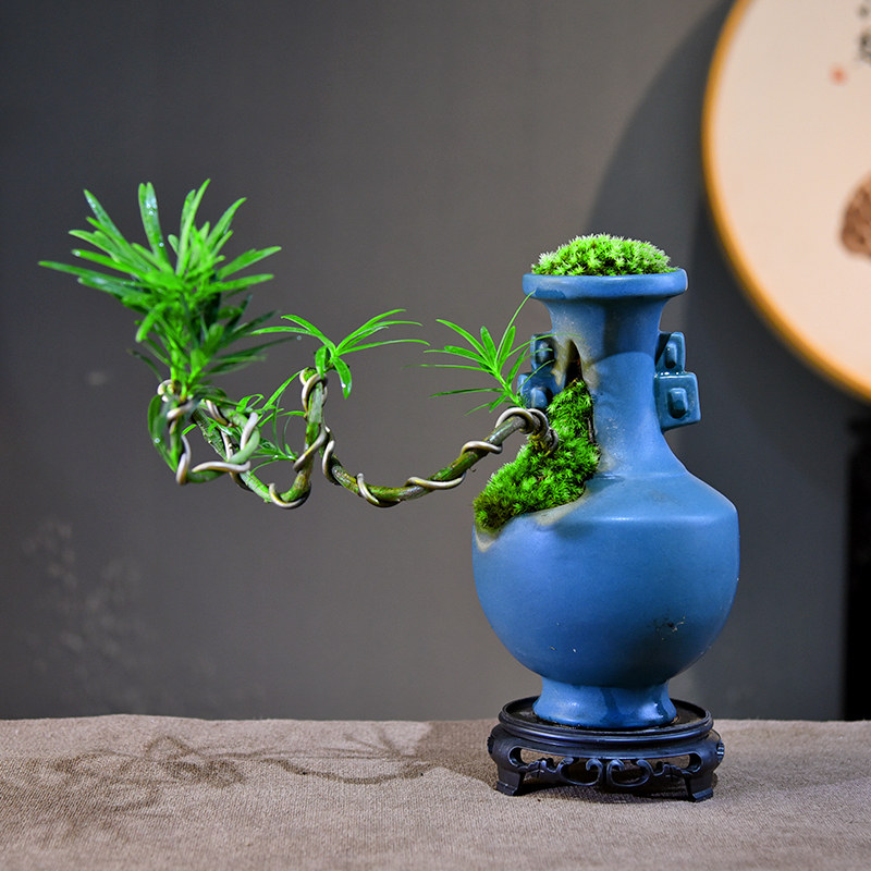 造型飘枝罗汉松盆栽飘枝中式复古室内绿植桌面盆景办公茶室送礼品