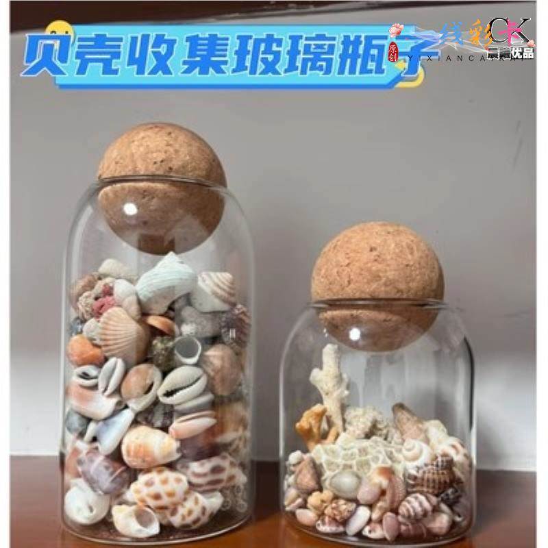 海边收集贝壳玻璃瓶球塞收纳容器瓶子捡贝壳透明瓶游玩捡川贝母罐