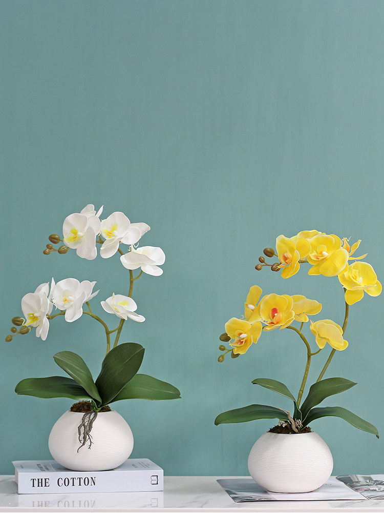 花与梦蝴蝶兰假花仿真花摆设小清新摆件卧室房间北欧高端摆花客厅