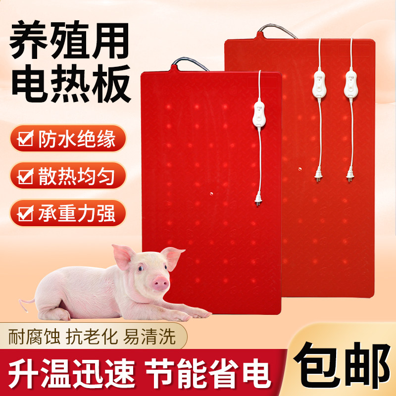 仔猪用电热板兽用塑钢加热板产床保温箱小猪保温板养殖用取暖设备