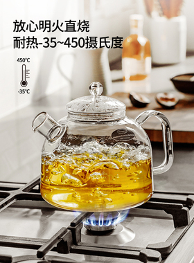 德国Trendglas Jena明火玻璃煮茶壶高硼硅耐高温烧水壶水果煮茶器
