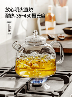 德国Trendglas Jena明火玻璃煮茶壶高硼硅耐高温烧水壶水果煮茶器