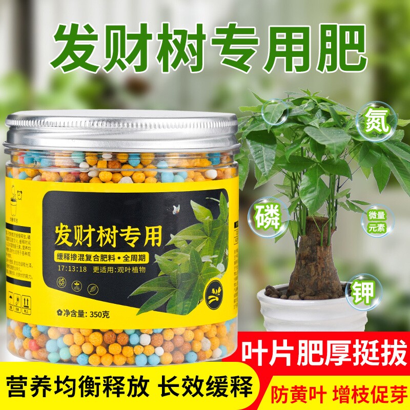 发财树肥料专用肥缓释肥营养液绿植幸福树龙血金钱树花肥盆栽家用