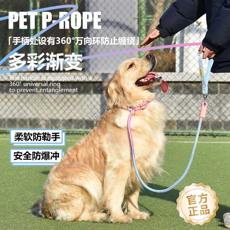狗狗绳子防爆冲P链遛狗牵引绳防挣脱狗链子中大型犬防爆冲拴狗绳