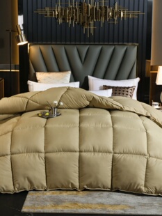 正品羽绒非95白鹅绒冬被8斤加厚10斤保暖羽绒被双人春秋被学生被