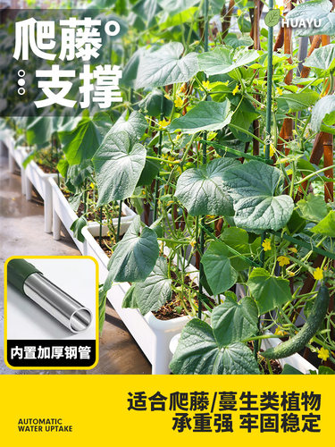 丝瓜爬藤架葡萄架子葫芦固定支撑杆猕猴桃藤架百香果庭院户外支架