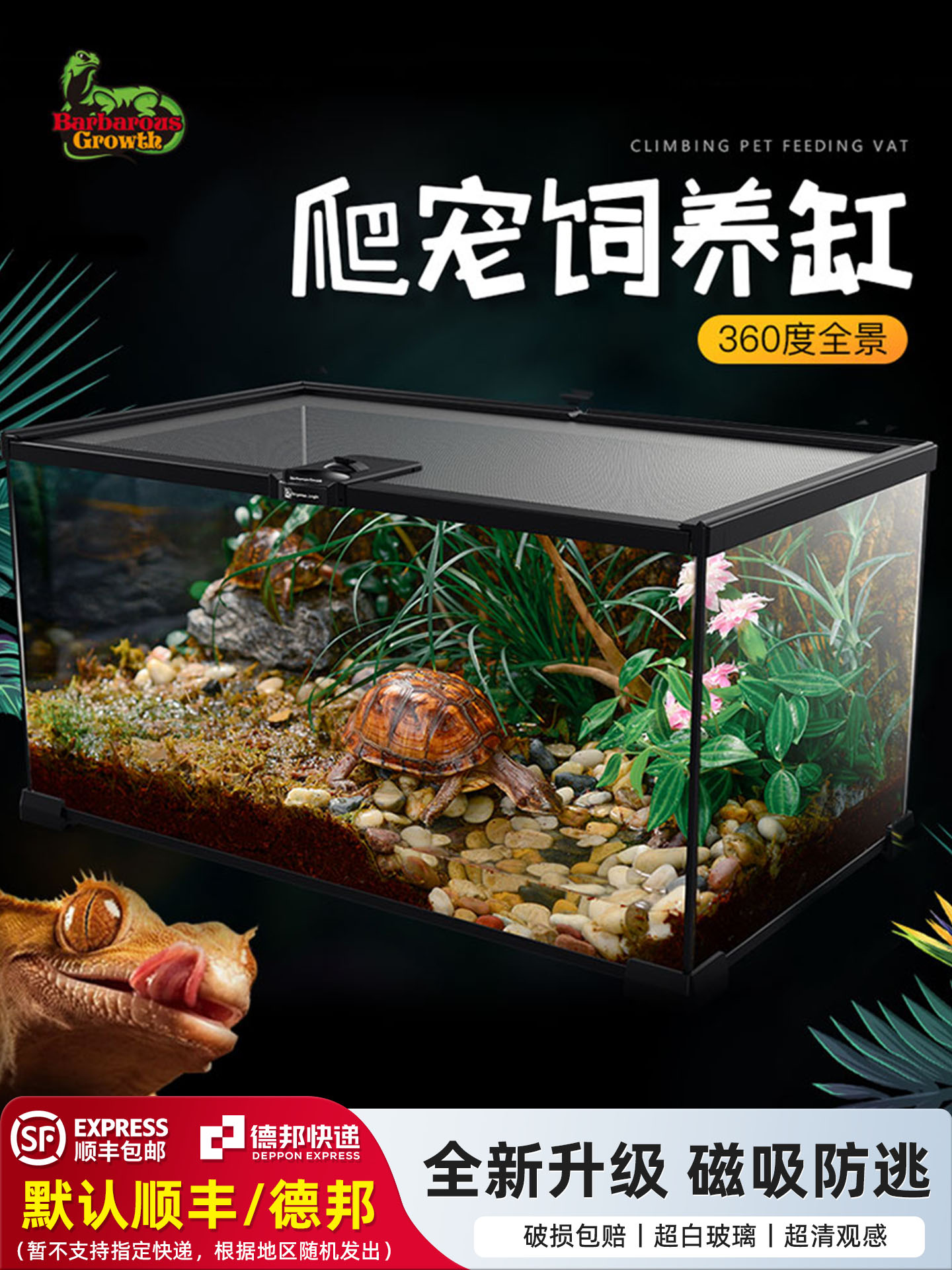 睫角蛙守宫蜥蜴爬宠饲养箱生态造景宠物蛇蜘蛛寄居蟹玻璃缸饲养盒