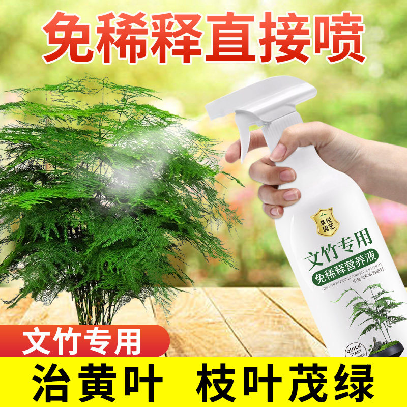 免稀释文竹营养液治黄叶专用肥料一喷绿盆栽室内液体肥云竹营养液