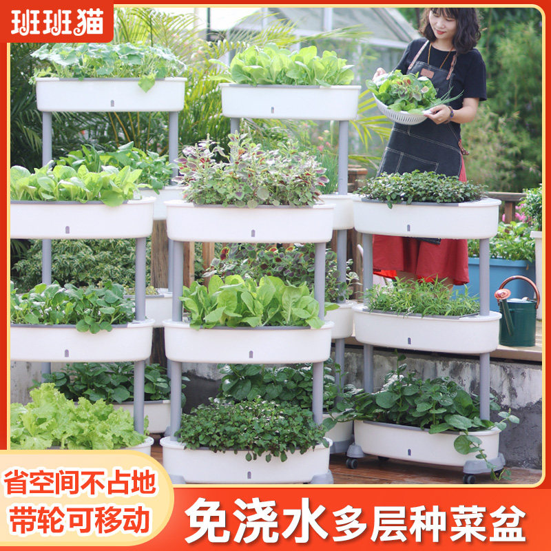 种菜专用箱多层阳台种菜盆免浇水楼顶塑料大花盆草莓盆蔬菜种植箱