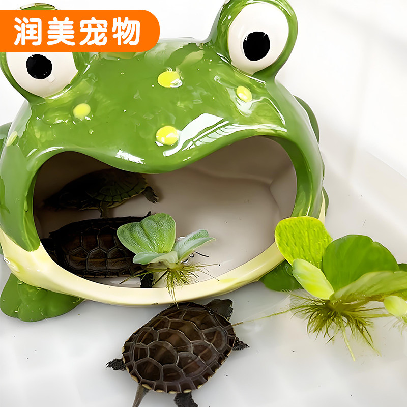 乌龟躲避屋大嘴蛙洞穴青蛙窝角蛙宠物仓鼠寄居蟹蜘蛛爬虫爬宠造景